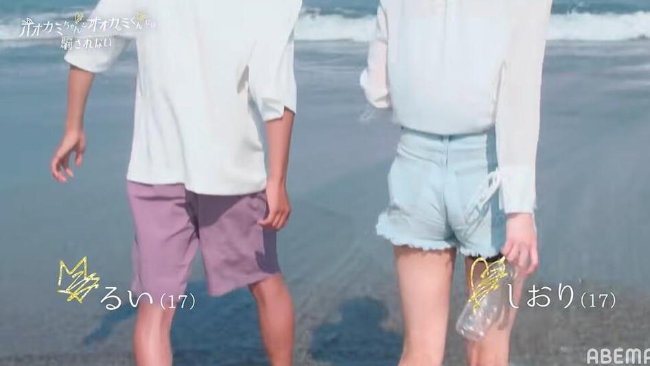 挑选出爱人，实施终极方案！《别被狼君所欺骗》告诉你如何成功攻略