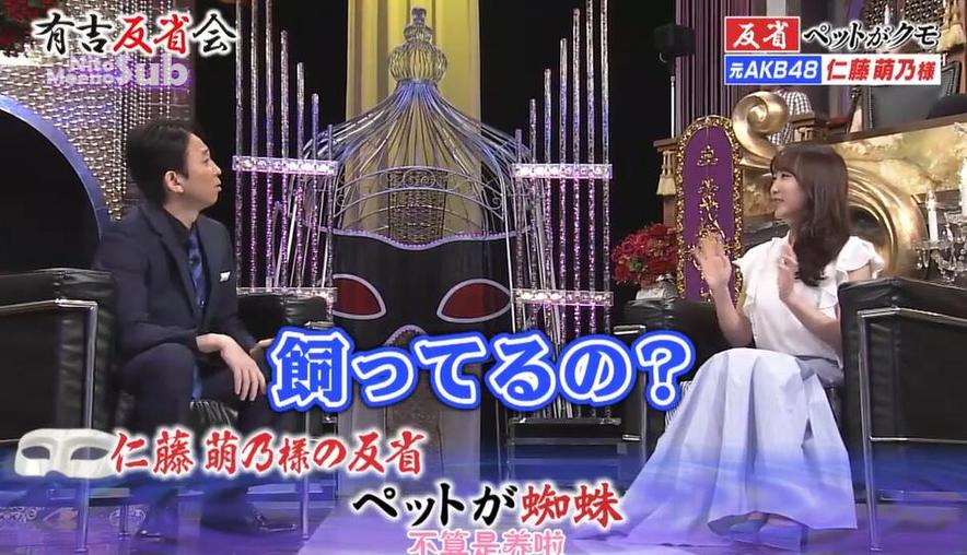 一键下载，畅享日本家族对战的精彩节目