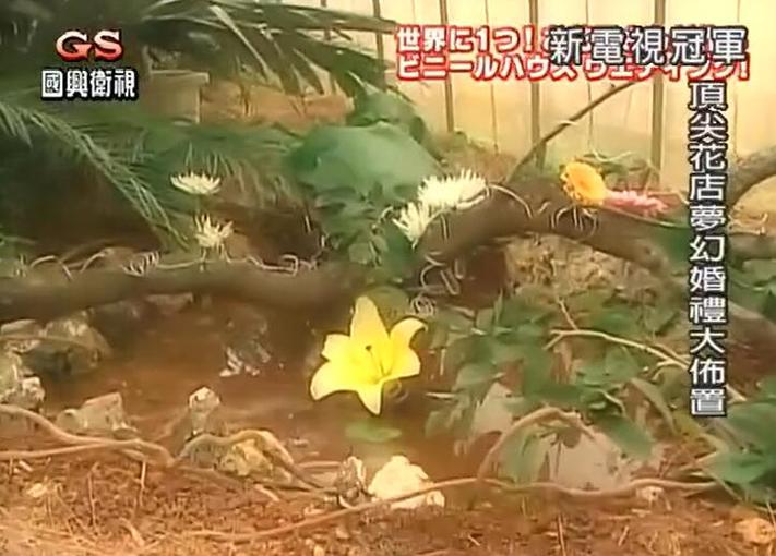 《电视冠军王》拉面大赛，用细腻的刀工和精湛的拉面技巧展现面条的无限魅力
